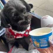 ヒメ日記 2025/09/05 23:33 投稿 茎 わかめ　SSSロり妹系悶絶系 ファーストクラス ルビー