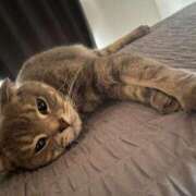 ヒメ日記 2025/09/11 20:14 投稿 茎 わかめ　SSSロり妹系悶絶系 ファーストクラス ルビー