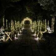 ヒメ日記 2025/09/14 23:33 投稿 茎 わかめ　SSSロり妹系悶絶系 ファーストクラス ルビー