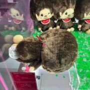 ヒメ日記 2025/09/15 20:23 投稿 茎 わかめ　SSSロり妹系悶絶系 ファーストクラス ルビー