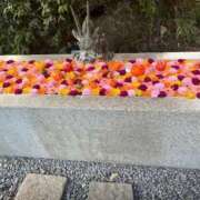 ヒメ日記 2025/09/17 23:34 投稿 茎 わかめ　SSSロり妹系悶絶系 ファーストクラス ルビー