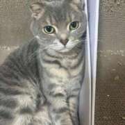 ヒメ日記 2025/09/19 19:53 投稿 茎 わかめ　SSSロり妹系悶絶系 ファーストクラス ルビー