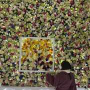 ヒメ日記 2025/10/11 16:03 投稿 茎 わかめ　SSSロり妹系悶絶系 ファーストクラス ルビー