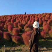 ヒメ日記 2025/10/23 23:13 投稿 茎 わかめ　SSSロり妹系悶絶系 ファーストクラス ルビー