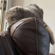 ヒメ日記 2025/10/25 16:33 投稿 茎 わかめ　SSSロり妹系悶絶系 ファーストクラス ルビー