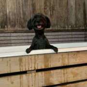 ヒメ日記 2025/10/29 20:41 投稿 茎 わかめ　SSSロり妹系悶絶系 ファーストクラス ルビー