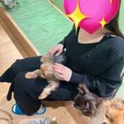 ヒメ日記 2025/10/31 22:03 投稿 茎 わかめ　SSSロり妹系悶絶系 ファーストクラス ルビー