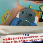 ヒメ日記 2025/11/08 23:53 投稿 茎 わかめ　SSSロり妹系悶絶系 ファーストクラス ルビー