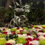 ヒメ日記 2025/11/17 23:43 投稿 茎 わかめ　SSSロり妹系悶絶系 ファーストクラス ルビー