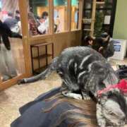 ヒメ日記 2025/11/20 00:01 投稿 茎 わかめ　SSSロり妹系悶絶系 ファーストクラス ルビー