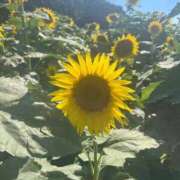 ヒメ日記 2025/11/22 19:14 投稿 茎 わかめ　SSSロり妹系悶絶系 ファーストクラス ルビー