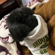 ヒメ日記 2025/12/02 21:43 投稿 茎 わかめ　SSSロり妹系悶絶系 ファーストクラス ルビー