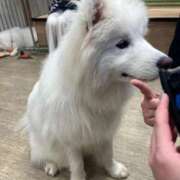 ヒメ日記 2025/12/10 17:53 投稿 茎 わかめ　SSSロり妹系悶絶系 ファーストクラス ルビー