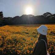 ヒメ日記 2025/12/20 21:13 投稿 茎 わかめ　SSSロり妹系悶絶系 ファーストクラス ルビー