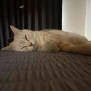 ヒメ日記 2025/12/21 00:05 投稿 茎 わかめ　SSSロり妹系悶絶系 ファーストクラス ルビー