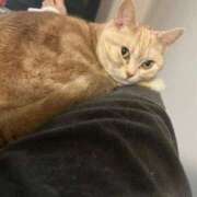 ヒメ日記 2025/12/24 00:05 投稿 茎 わかめ　SSSロり妹系悶絶系 ファーストクラス ルビー