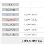 ヒメ日記 2025/12/25 19:21 投稿 茎 わかめ　SSSロり妹系悶絶系 ファーストクラス ルビー