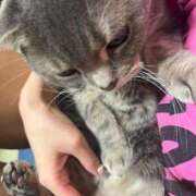 ヒメ日記 2025/12/27 13:43 投稿 茎 わかめ　SSSロり妹系悶絶系 ファーストクラス ルビー