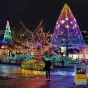 ヒメ日記 2026/01/04 14:48 投稿 茎 わかめ　SSSロり妹系悶絶系 ファーストクラス ルビー