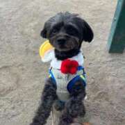 ヒメ日記 2026/02/02 23:35 投稿 茎 わかめ　SSSロり妹系悶絶系 ファーストクラス ルビー