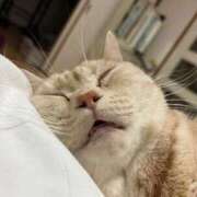 ヒメ日記 2026/02/04 23:53 投稿 茎 わかめ　SSSロり妹系悶絶系 ファーストクラス ルビー