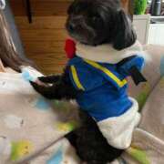 ヒメ日記 2026/02/12 21:33 投稿 茎 わかめ　SSSロり妹系悶絶系 ファーストクラス ルビー