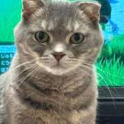 ヒメ日記 2026/02/13 19:53 投稿 茎 わかめ　SSSロり妹系悶絶系 ファーストクラス ルビー