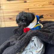 ヒメ日記 2026/03/02 23:20 投稿 茎 わかめ　SSSロり妹系悶絶系 ファーストクラス ルビー