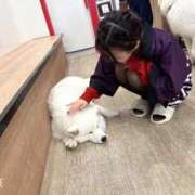 ヒメ日記 2026/03/17 23:00 投稿 茎 わかめ　SSSロり妹系悶絶系 ファーストクラス ルビー