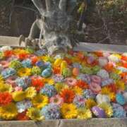 ヒメ日記 2026/03/25 21:40 投稿 茎 わかめ　SSSロり妹系悶絶系 ファーストクラス ルビー