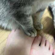 ヒメ日記 2026/04/01 23:04 投稿 茎 わかめ　SSSロり妹系悶絶系 ファーストクラス ルビー