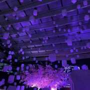 ヒメ日記 2026/04/03 23:13 投稿 茎 わかめ　SSSロり妹系悶絶系 ファーストクラス ルビー