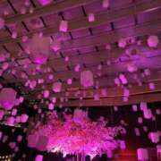 ヒメ日記 2026/04/04 11:33 投稿 茎 わかめ　SSSロり妹系悶絶系 ファーストクラス ルビー