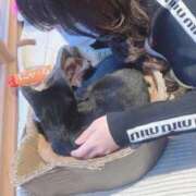 ヒメ日記 2026/04/09 22:51 投稿 茎 わかめ　SSSロり妹系悶絶系 ファーストクラス ルビー