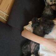 ヒメ日記 2026/04/17 23:49 投稿 茎 わかめ　SSSロり妹系悶絶系 ファーストクラス ルビー