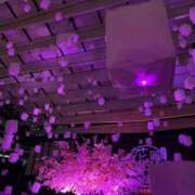 ヒメ日記 2026/05/03 21:43 投稿 茎 わかめ　SSSロり妹系悶絶系 ファーストクラス ルビー