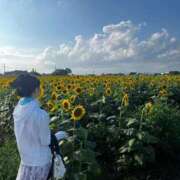 ヒメ日記 2026/07/25 23:53 投稿 茎 わかめ　SSSロり妹系悶絶系 ファーストクラス ルビー