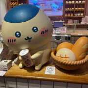 ヒメ日記 2026/09/03 12:04 投稿 茎 わかめ　SSSロり妹系悶絶系 ファーストクラス ルビー