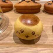 ヒメ日記 2026/09/23 23:55 投稿 茎 わかめ　SSSロり妹系悶絶系 ファーストクラス ルビー
