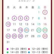 ヒメ日記 2025/03/01 06:59 投稿 瞳【ヒトミ】 LOVEキタ兎我野店