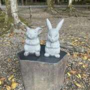 ヒメ日記 2025/04/19 09:24 投稿 よしこ 尼崎人妻援護会