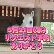 ヒメ日記 2025/05/18 11:14 投稿 よしこ 尼崎人妻援護会
