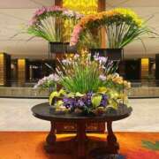 ヒメ日記 2025/05/19 16:09 投稿 よしこ 尼崎人妻援護会