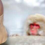 ヒメ日記 2026/01/28 14:14 投稿 よしこ 尼崎人妻援護会