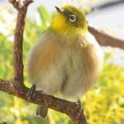 ヒメ日記 2026/03/20 11:40 投稿 よしこ 尼崎人妻援護会