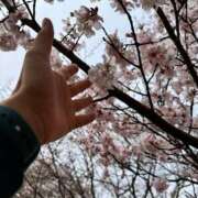 ヒメ日記 2026/03/30 18:04 投稿 よしこ 尼崎人妻援護会