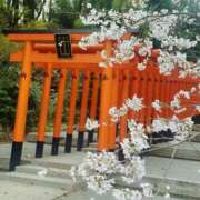 ヒメ日記 2026/04/04 10:22 投稿 よしこ 尼崎人妻援護会