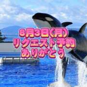 ヒメ日記 2026/07/24 14:46 投稿 よしこ 尼崎人妻援護会