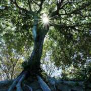 ヒメ日記 2026/01/13 08:35 投稿 あきほ 尼崎人妻援護会