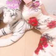 ヒメ日記 2025/08/02 01:39 投稿 さくら 尼崎人妻援護会